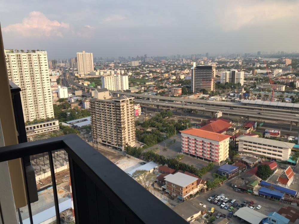 เดอะ โพลิแทน รีฟ [The Politan Rive]