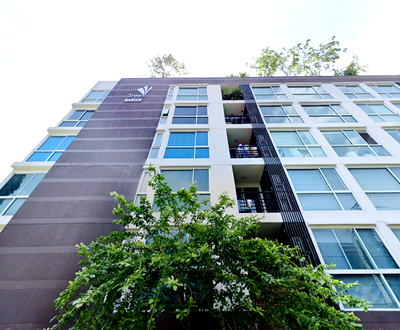 ทรี คอน โด สุขุมวิท 52 [Tree Condo Sukhumvit 52]