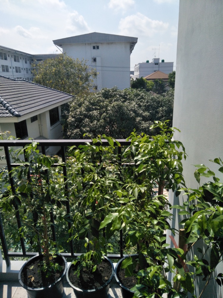 น็อตติ้ง ฮิลล์ สุขุมวิท 105 [Notting Hill Sukhumvit 105]