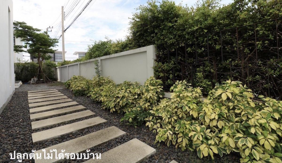 เซนมูระ ศรีนครินทร์-บางนา [Zenmura Srinakarin-Bangna]