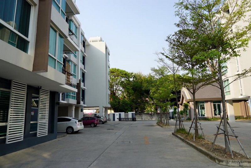 วันพลัส สวนดอก 1,2.3 [Oneplus Suandok 1,2,3]