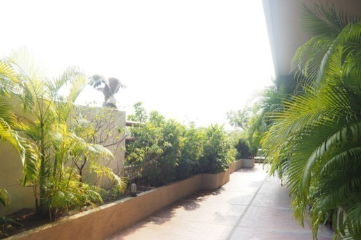 เดอะ รูฟ การ์เด้น อ่อนนุช [The Roof Garden On Nut]