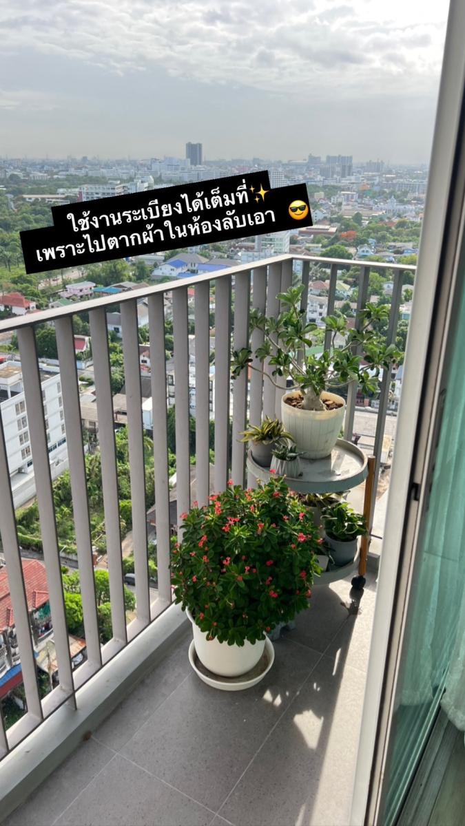 แอมเบอร์ ติวานนท์ [Amber Tiwanon]