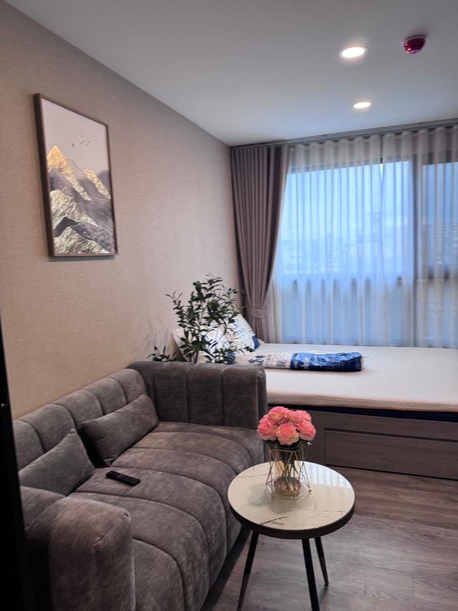 บริกซ์ตัน เพ็ทแอนด์เพลย์ พหลฯ 50 สเตชั่น [Brixton Pet&Play Phahol 50]