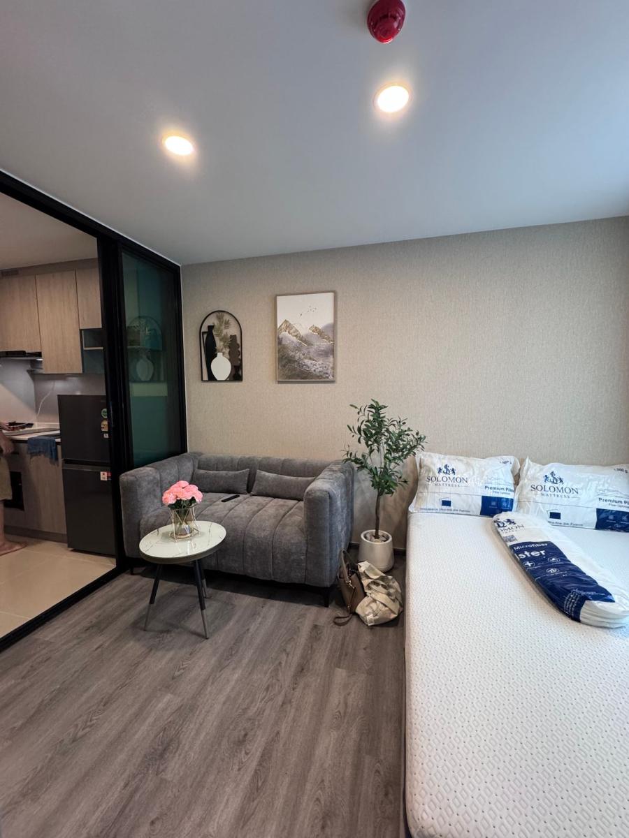 บริกซ์ตัน เพ็ทแอนด์เพลย์ พหลฯ 50 สเตชั่น [Brixton Pet&Play Phahol 50]